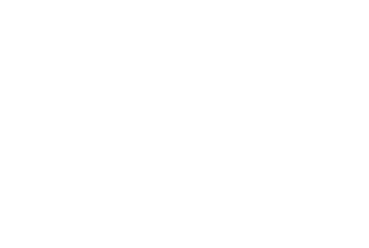 Daniel Palacios Consulting Corp. · Miami FL